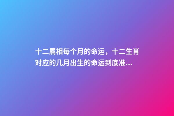 十二属相每个月的命运，十二生肖对应的几月出生的命运到底准不准？ 属兔人出生月的命运属兔每个月出生详解-第1张-观点-玄机派